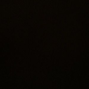 Meet your Posher, Kylie